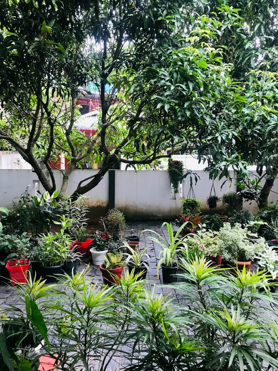 garden of famous house